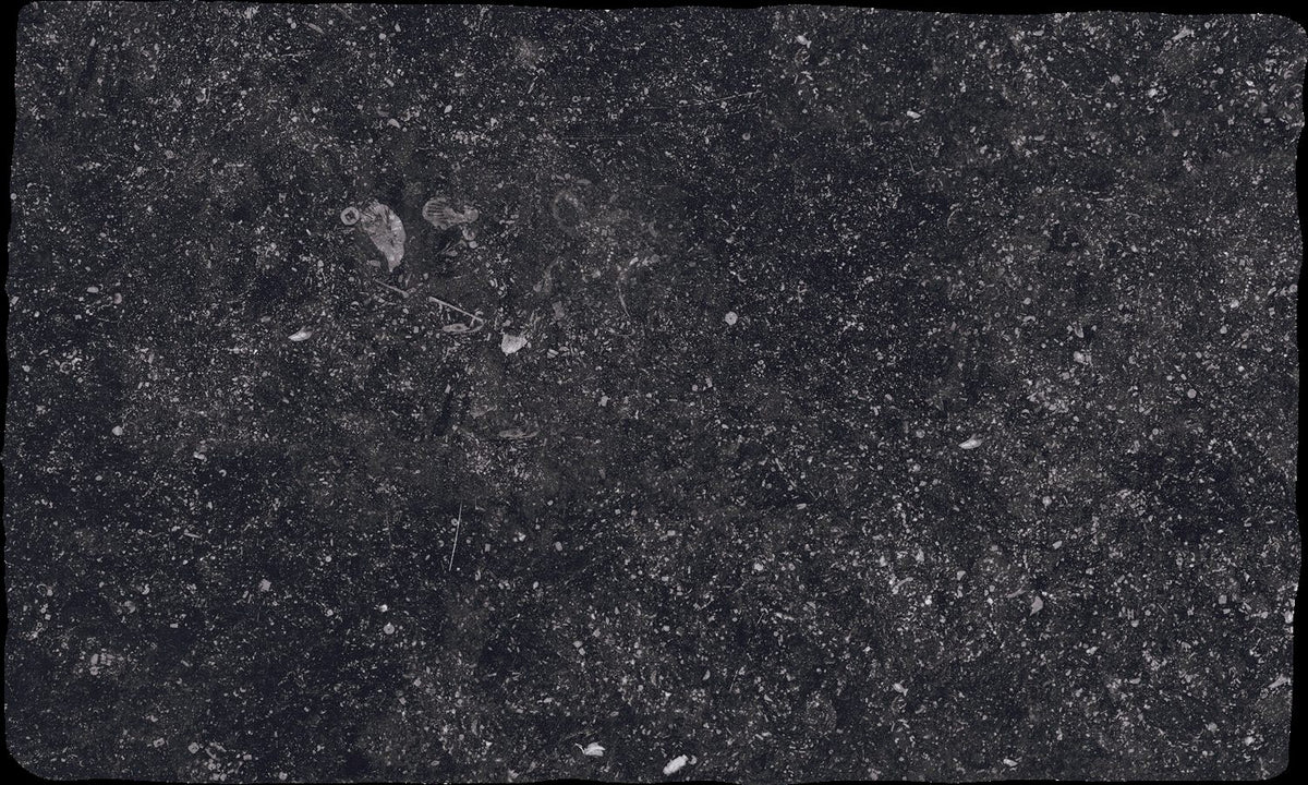 PIETRA PIERRE BLEUE NOIR - Le Ceramiche di Sassuolo